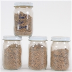 1994 Brett Favre Green Bay Packers Final Game at Milwaukee County Stadium Game Used Dirt - Lot of 4 Small Jars (MEARS LOA)
