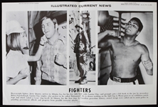 1970 Illustrated Current News Muhammad Ali vs Jerry Quarry 12x19 Black and White Poster