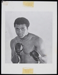1976 Muhammad Ali World Heavyweight Champion 4" x 5.25" Original Snapshot Photo (Troy Kinunen Collection)