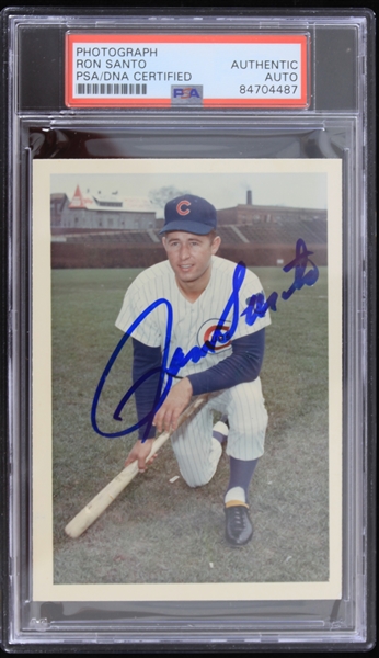 1970s Ron Santo Chicago Cubs Signed 3.5" x 5" Barney A. Sterling Photo (PSA Slabbed Authentic)
