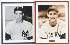 1939-80s Baseball Framed Photo Collection - Lot of 4 w/ Ted Williams Rookie, Joe DiMaggio, Ryne Sandberg & More 