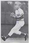 1974 Cincinnati Reds Multi Signed Yearbook w/ 7 Autographs