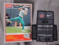 2019 Danny Amendola Detroit Lions Alternate Jersey (MEARS LOA)