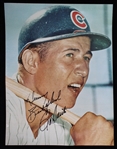 1960-73 Ron Santo Chicago Cubs Signed 8x10 Photo (JSA) 